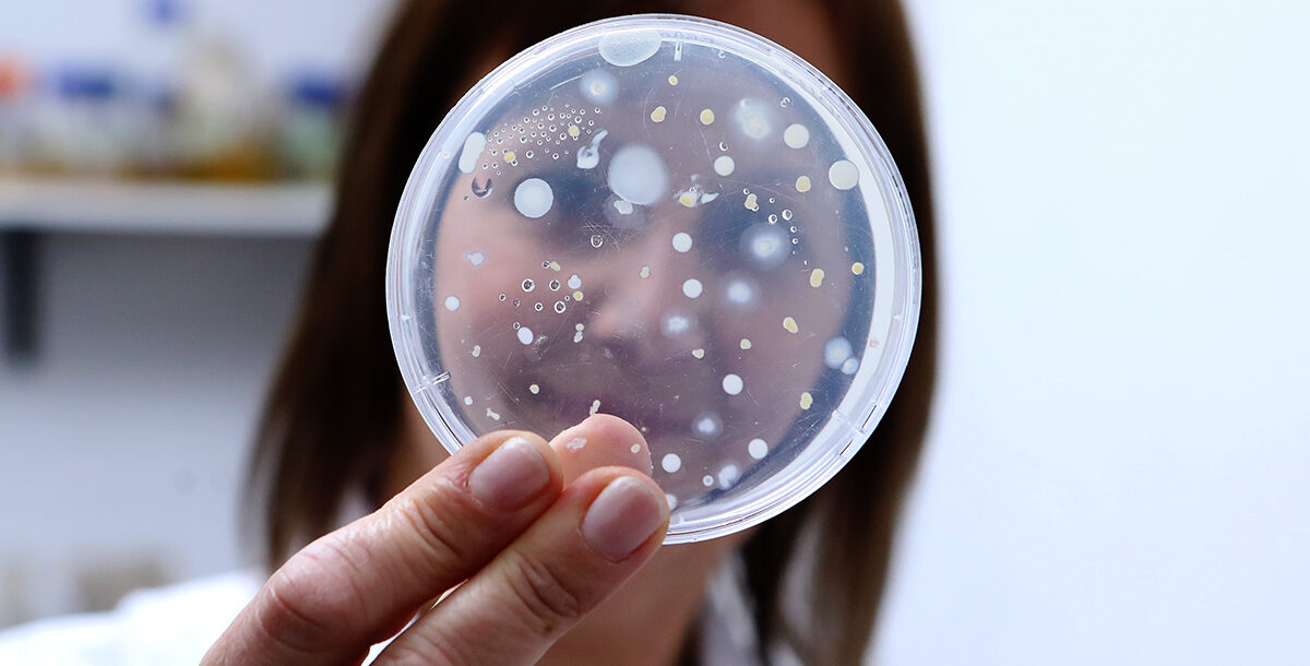 Los organismos microscópicos como estrategia ante la contaminación por hidrocarburos