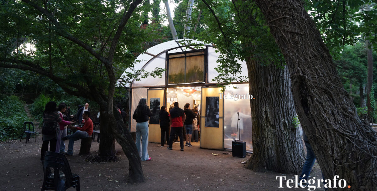 El vivero histórico de Villa Gesell se suma a las visitas guiadas de los museos
